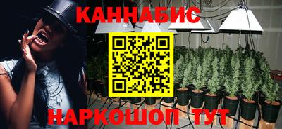 прущие крисы Кулебаки
