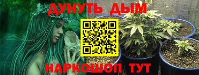 индика Кунгур