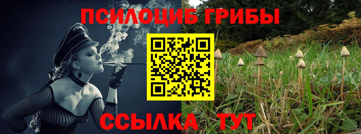 наркота  Галлюциногенные грибы ЛСД  Вход с VPN  Электросталь 