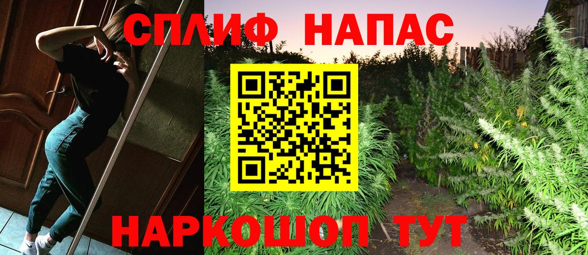 Шишки марихуана планчик  Марихуана семена  Электросталь  Канабис индика  Вход с VPN  Марихуана MAZAR 
